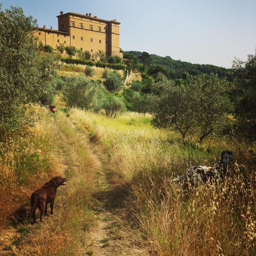 Castello Di Potentino Seggiano Extérieur photo